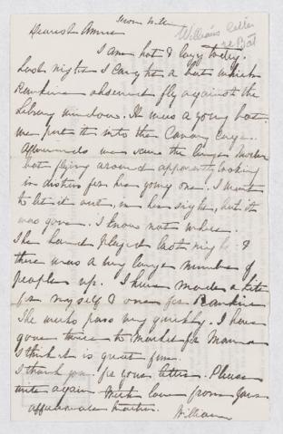 Open original Digital object