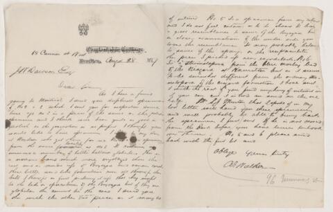 Open original Digital object