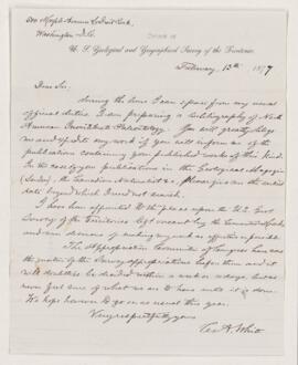 Letter, 13 February 1877