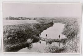 Beaver dam, South Antler Creek