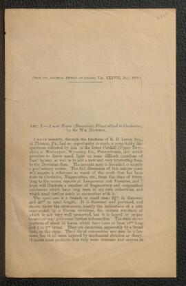 A New Erian (Devonian) Plant Allied to Cordaites