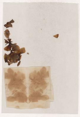 Letter from Agnes, 1860
