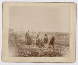 People at Mile End quarry