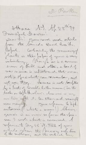 Open original Digital object