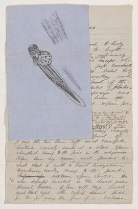 Drawings and notes.