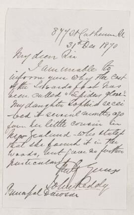 Letter, 31 December 1870