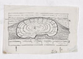 Illustrations