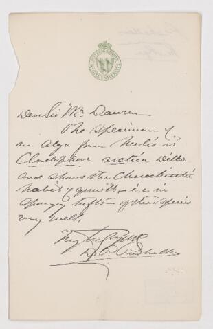 Open original Digital object