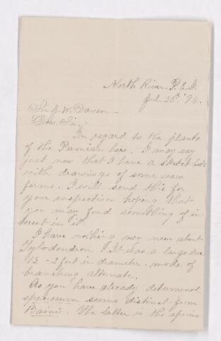 Open original Digital object