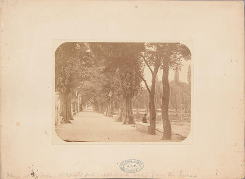 Open original Digital object