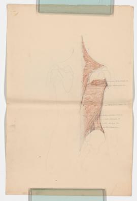 Sketches on paper