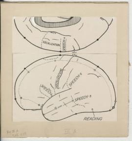 Material concerning Epilepsy and the functional anatomy of the human brain.
