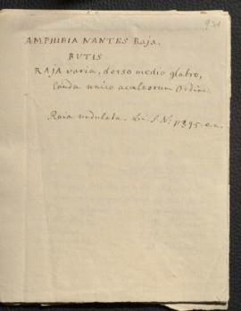 Fish and Reptiles Volume 1 Manuscript Notes