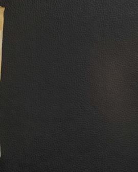 Birds Volume 3 Manuscript Notes