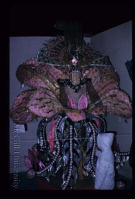 Carnival Costume 2