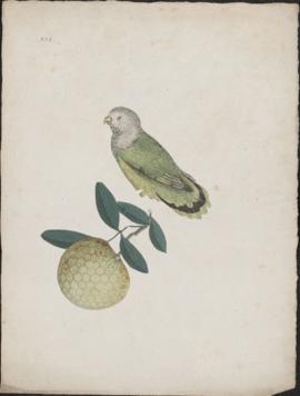 Small bird on a branch