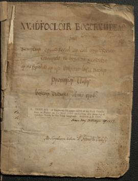 Nuadhfoclóir bogcruaideach