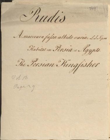 Open original Digital object