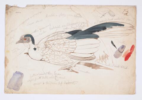 Open original Digital object