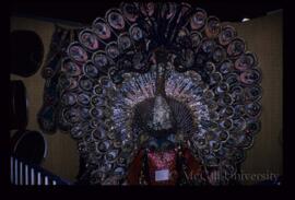 Peacock Costume