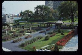 Rose Garden